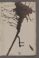 AAEB_AV_22#0118_r.jpg