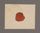 AAEB_AK_74#0424_v.jpg