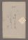 AAEB_AK_110#0084_v.jpg
