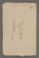 AAEB_AK_128_II#0132_v.jpg