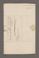 ADz_Pac_1#0025_v.jpg