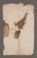 AAEB_AK_182_I#0025_v.jpg