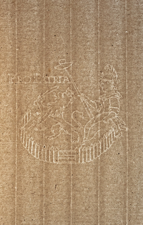 Filigran "Pro Patria". AKMKr, Acta episcopalia, t. 98. Fot. Piotr Idem (Pracownia Inwentaryzacji i Digitalizacji Zabytków UPJP2)